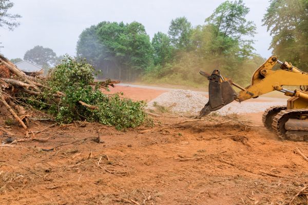 Ground Clearing in Kerrville