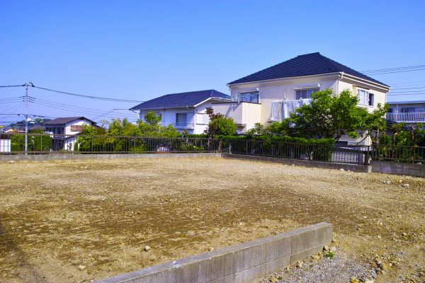 Cost of Lot Clearing Service in Kerrville