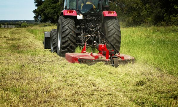 Brush Clearing Service in Kerrville