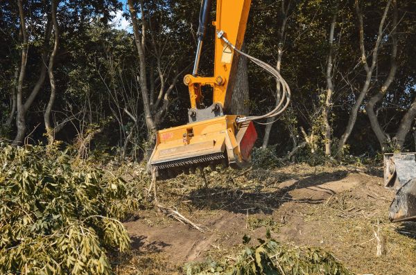 Brush Removal Service in Kerrville
