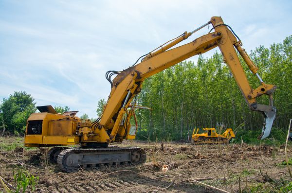 Cost of Farm Clearing in Kerrville
