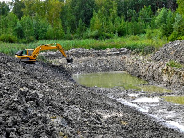 Cost of Lake Lot Clearing in Kerrville