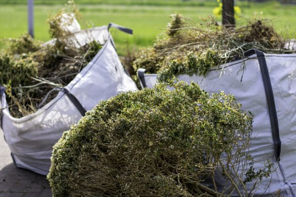 Cost of Bushes Clearing in Kerrville