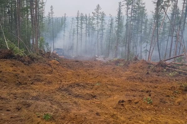 Cost of Hill Clearing in Kerrville