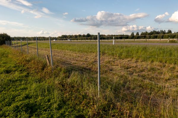 Cost of Property Line Clearing in Kerrville