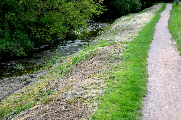 Cost of Trail Cutting in Kerrville