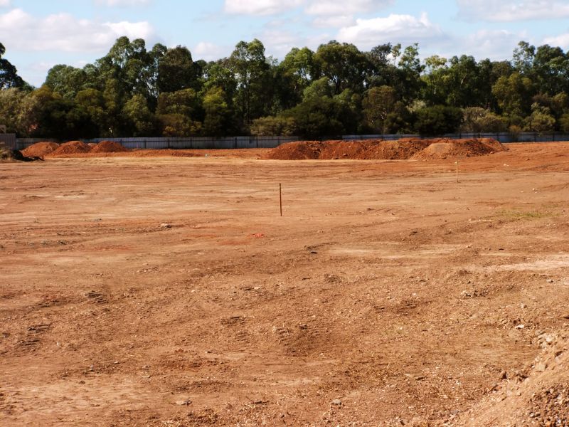 Land Before Clearing